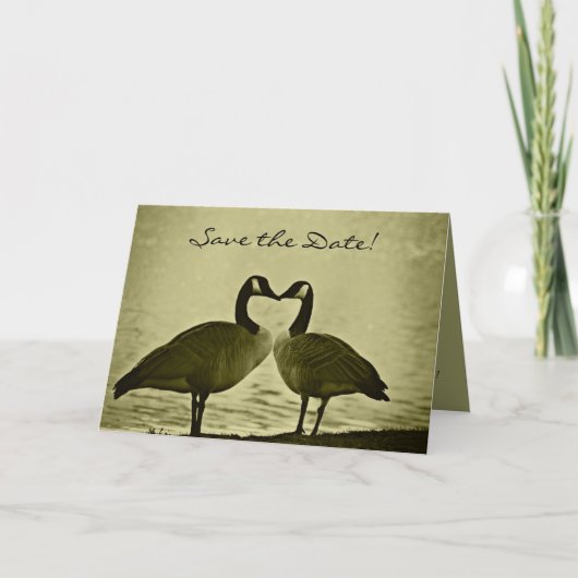 デートカードを保存するロマンチックガチョウ 案内状 (正面)