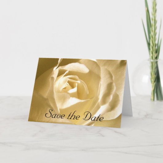 デートクリームのバラ写真の保存 案内状 (正面)