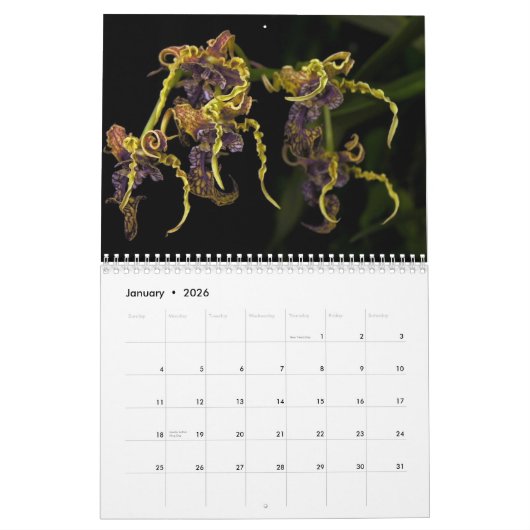 デーブの庭2013のカレンダー カレンダー (1月 2026)