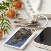 デーブの豪奢なアクリルの二重味方されたキーホルダー キーホルダー (正面右)