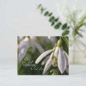 デール・フリングのリスト・ダ！ ポストカード (スタンド正面)