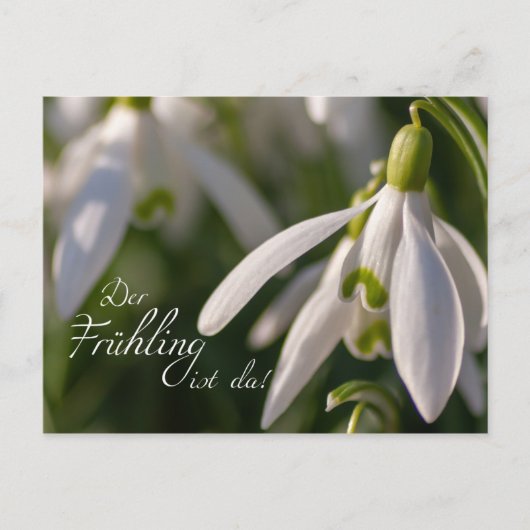 デール・フリングのリスト・ダ！ ポストカード (正面)