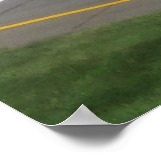 デールJr at MIS ポスター (角)