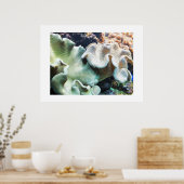 トアドスツール革サンゴ ポスター (キッチン)