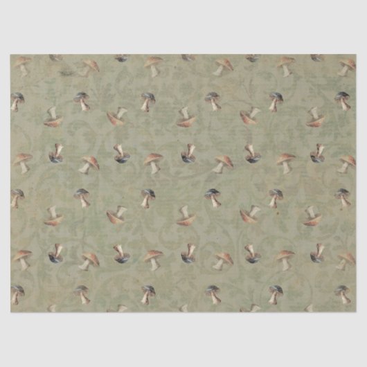 トアドス自然トールティッシュペーパー 薄葉紙 (正面)