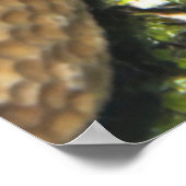 トアマゴののぞき ポスター (角)