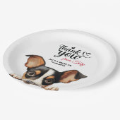 トイキツネテリア ペーパープレート (アングル)