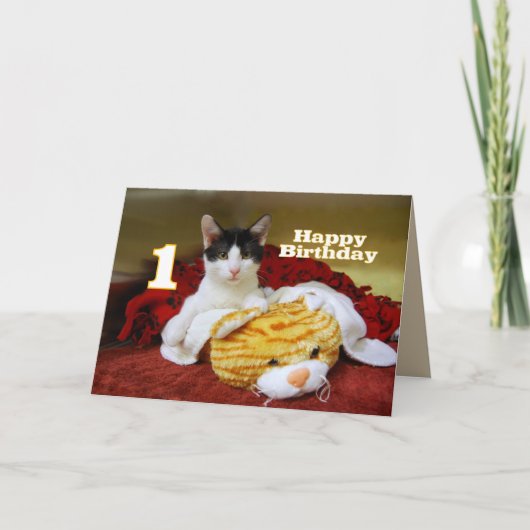 トイタイガー誕生日初の子猫 カード (正面)