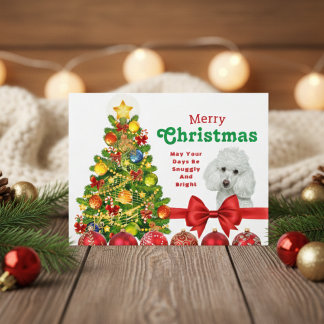 トイプードルのメリークリスマスカード シーズンポストカード