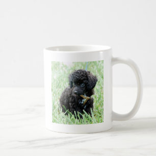 トイプードルの子犬 コーヒーマグカップ