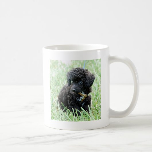 トイプードルの子犬 コーヒーマグカップ (右)