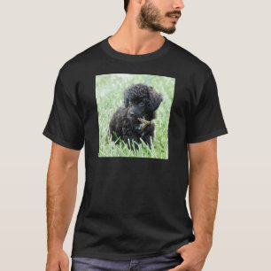 トイプードルの子犬 Tシャツ
