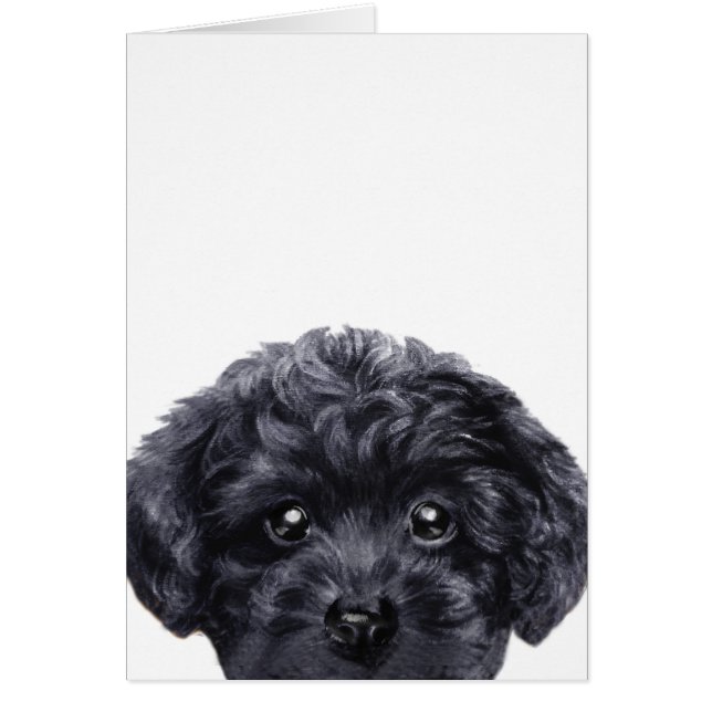 トイプードルの黒、オリジナルはmiartによって快くします (正面)