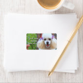 トイプードルパピー住所 シール (インサイチュ)