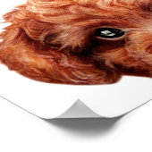 トイプードルポスター ポスター (角)