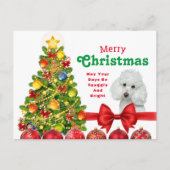 トイプードルメリークリスマスカード シーズンポストカード (正面)