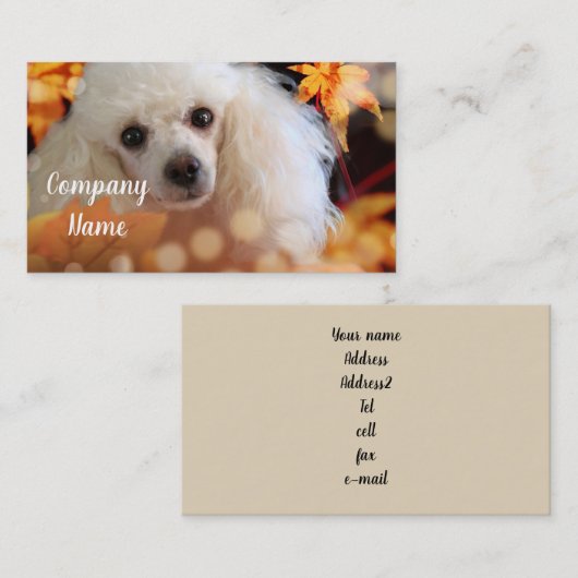 トイプードル名刺 名刺 (正面/裏面)