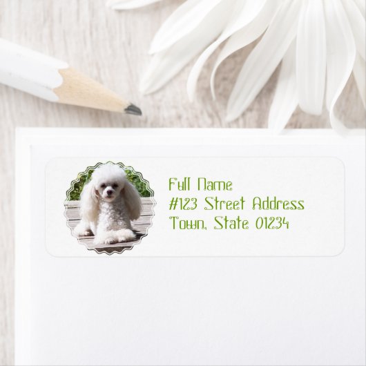 トイプードル ラベル (インサイチュ)