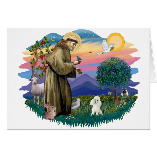 トイプードル（白） (正面横)