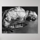 トイボート付き防水ジャケットを着用したカヤーカー ポスター (正面)