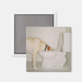 トイレで飲む犬 マグネット (正面/裏面)