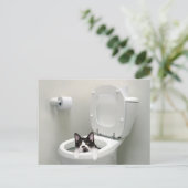 トイレに入った猫 ポストカード (スタンド正面)