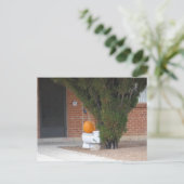 トイレに座っているパンプキン ポストカード (スタンド正面)