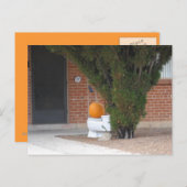 トイレに座っているパンプキン ポストカード (正面/裏面)