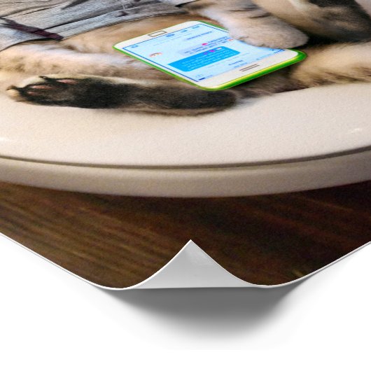 トイレに猫 ポスター (角)