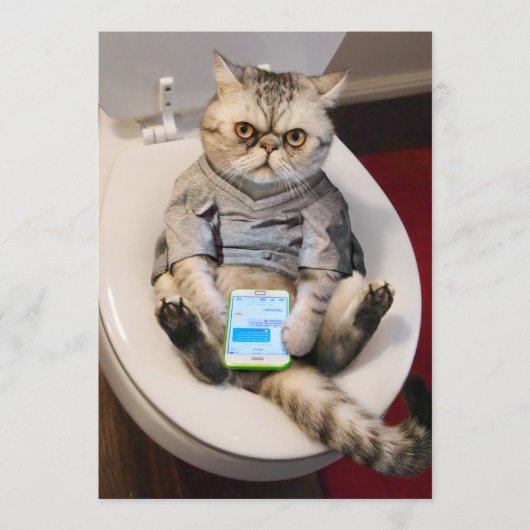 トイレの猫 招待状 (正面)