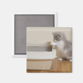 トイレを見ているペルシャ猫 マグネット (正面/裏面)