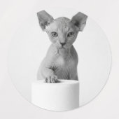 トイレペーパーを探索する不思議な猫たち ラベル (デザイン2)