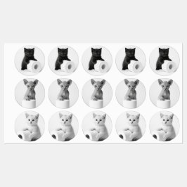 トイレペーパーを探索する不思議な猫たち ラベル