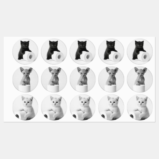 トイレペーパーを探索する不思議な猫たち ラベル (シート)