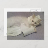 トイレ紙おもしろい ポストカード (正面/裏面)