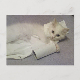 トイレ紙おもしろい ポストカード