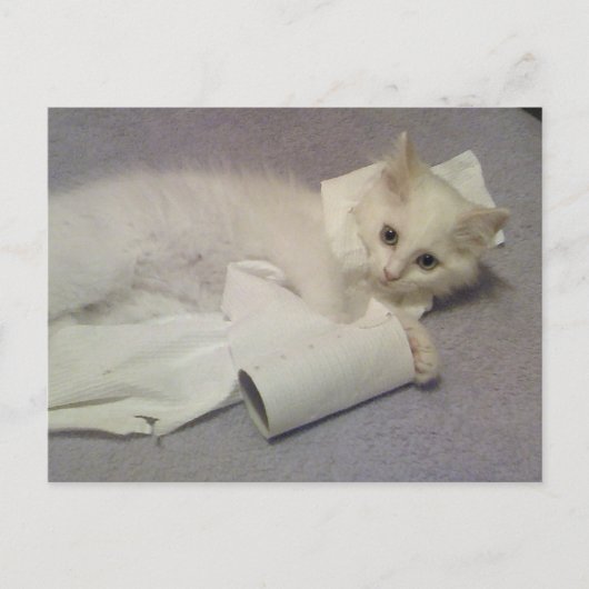 トイレ紙おもしろい ポストカード (正面)