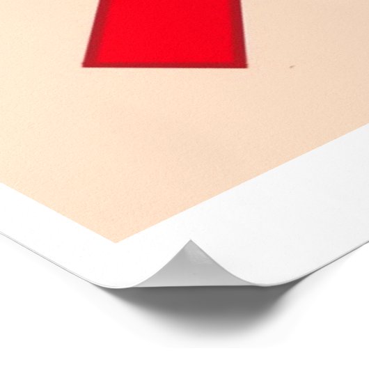 トイレ魚釣りなし ポスター (角)