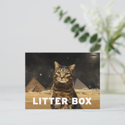 トイレ ポストカード (スタンド正面)