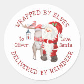 トイ包まれたンデナーの子供が届けた小妖精や小人によって ラウンドシール (正面)