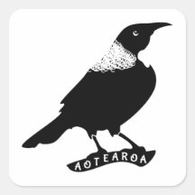 トゥイ |ニュージーランド/アオテアロア