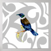 トゥイNZ鳥 ポスター (正面)