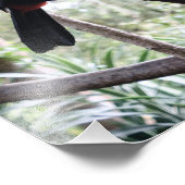 トゥカンのポスト フォトプリント            (角)