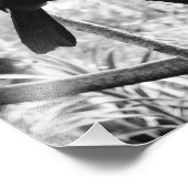 トゥカンズポスト(B&W) フォトプリント            (角)