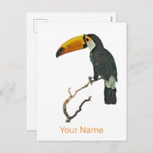 トゥカンポートレート動物熱帯鳥デザイン シーズンポストカード (正面/裏面)