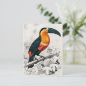 トゥカンラムファストスイラストレーションヴィンテージアートプリント ポストカード (スタンド正面)