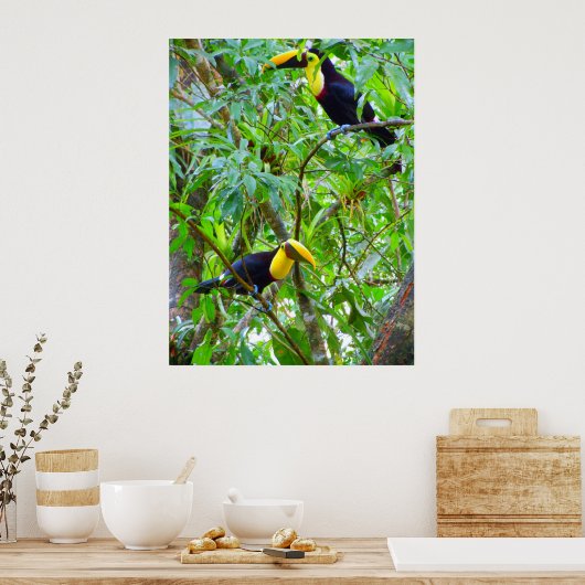 トゥカン ポスター (キッチン)