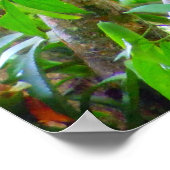 トゥカン ポスター (角)