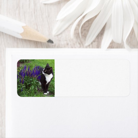 トゥキセドの猫と庭 ラベル (インサイチュ)