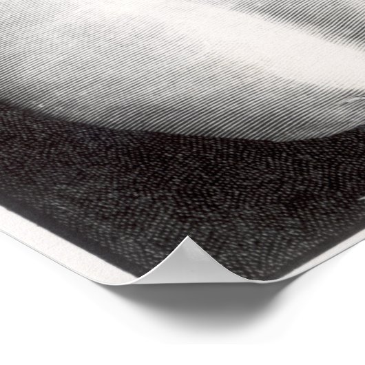 トゥキディデスのバスト、バーバントによって刻まれた ポスター (角)